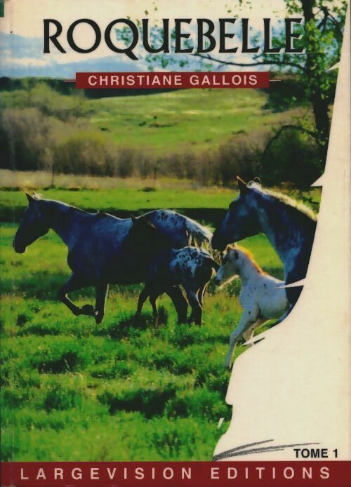 Livrenpoche : Roquebelle Tome I - Christiane Gallois - Livre