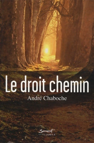Livrenpoche : Le droit chemin - André Chaboche - Livre