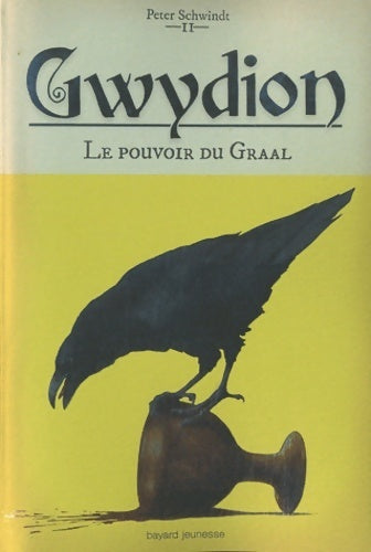 Livrenpoche : Pouvoir du graal (le) - gwydion t2 - Peter Schwindt - Livre