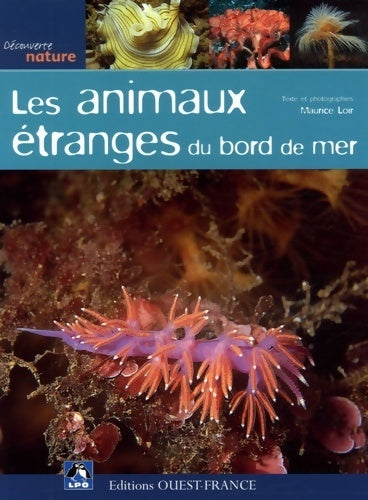 Livrenpoche : Les animaux étranges du bord de mer - Maurice Loir - Livre