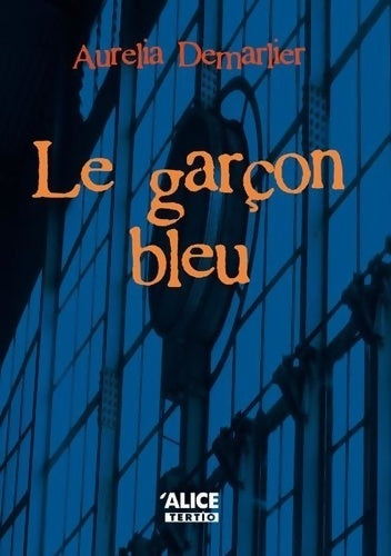 Livrenpoche : Le garçon bleu - Aurelia Demarlier - Livre