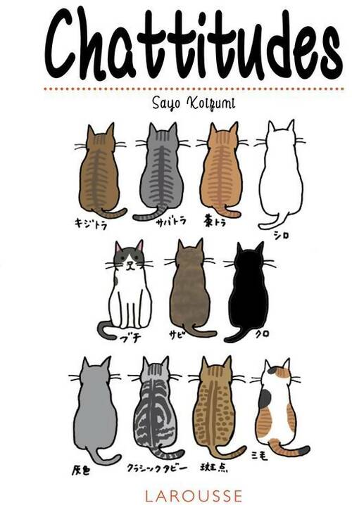 Livrenpoche : Chattitudes - Collectif - Livre