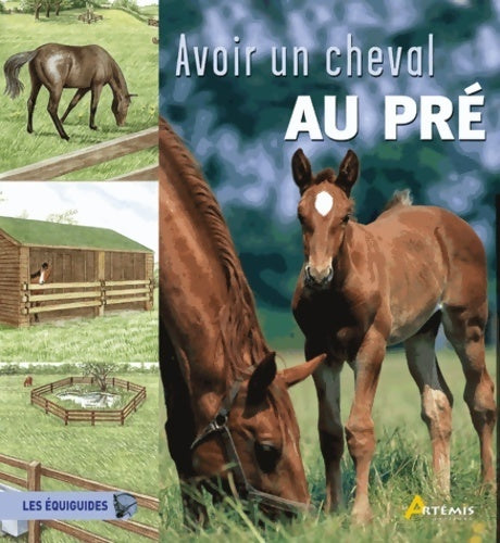 Livrenpoche : Avoir un cheval au pré - Toni Webber - Livre