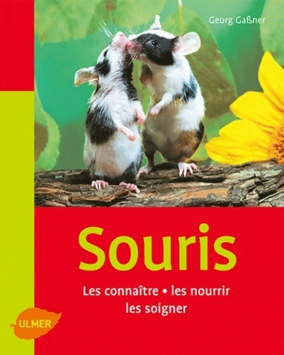 Livrenpoche : Les souris - Georg Gassner - Livre