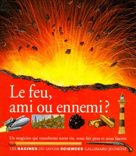 Livrenpoche : Le feu ami ou ennemi ? : Un magicien qui transforme notre vie nous fait peur et nous fascine - Diane Costa de Beauregard - Livre