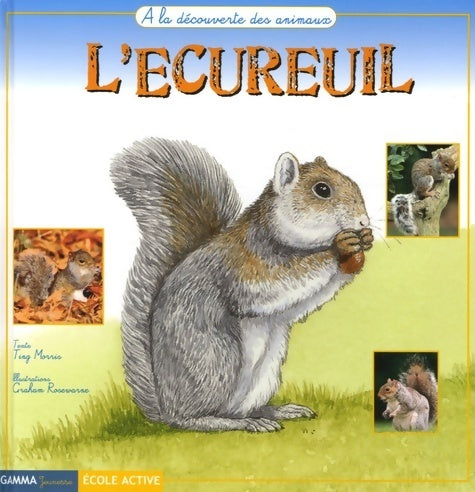 Livrenpoche : L'écureuil - Ting Morris - Livre
