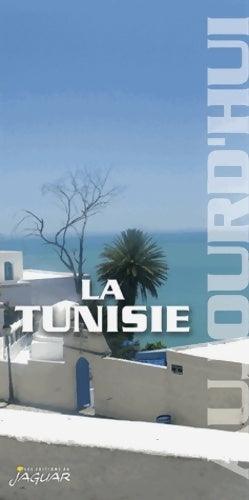 Livrenpoche : La Tunisie aujourd'hui - Frida Dahmani - Livre