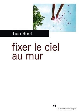 Livrenpoche : Fixer le ciel au mur - Tieri Briet - Livre