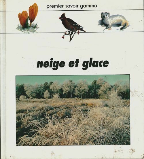 Livrenpoche : Neige et glace - Joy Annette Palmer - Livre