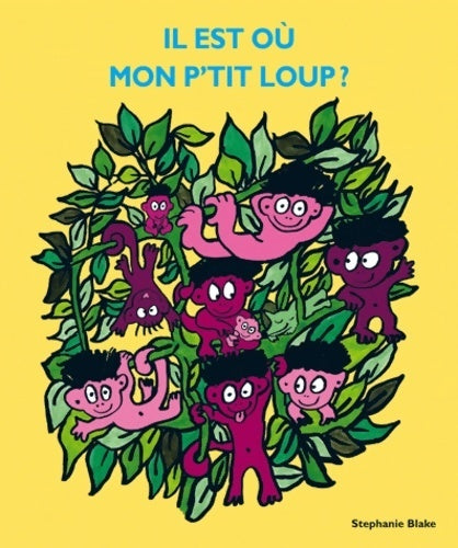 Livrenpoche : Il est où mon p'tit loup ? - Stéphanie Blake - Livre