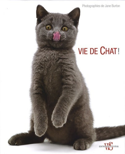 Livrenpoche : Vide de chat ! - Collectif - Livre