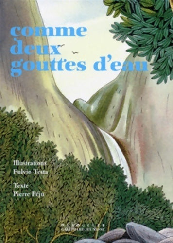 Livrenpoche : Comme deux gouttes d'eau - Pierre Péju - Livre