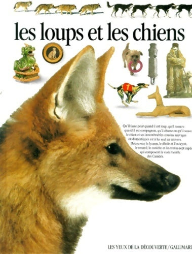 Livrenpoche : Les loups et les chiens - Juliet Clutton-Brock - Livre