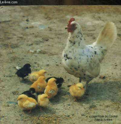 Livrenpoche : Les animaux de la ferme - Collectif - Livre
