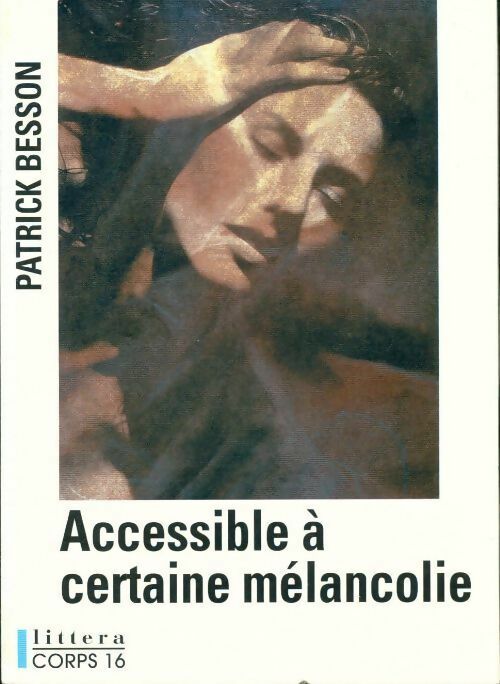 Livrenpoche : Accessible à certaine mélancolie - Patrick Besson - Livre