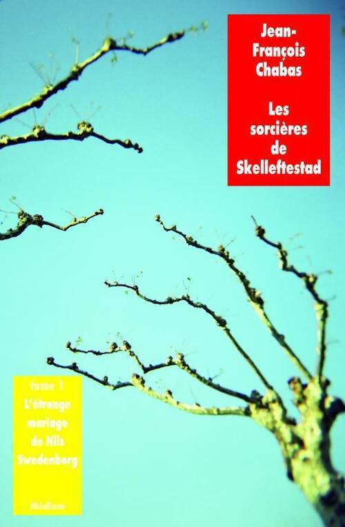 Livrenpoche : Les sorcières de Skelleftestad : L'étrange mariage de Nils Swedenborg - Jean-François Chabas - Livre