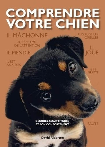 Livrenpoche : Comprendre votre chien - David Alderton - Livre