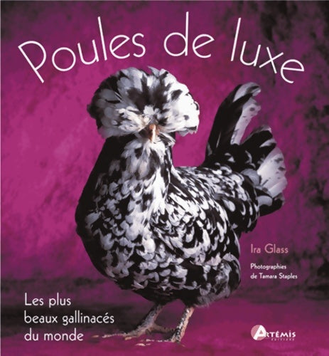 Livrenpoche : Poules de luxe - Christa Velbel - Livre