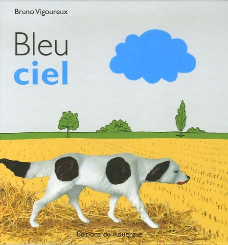Livrenpoche : Bleu ciel - Bruno Vigoureux - Livre