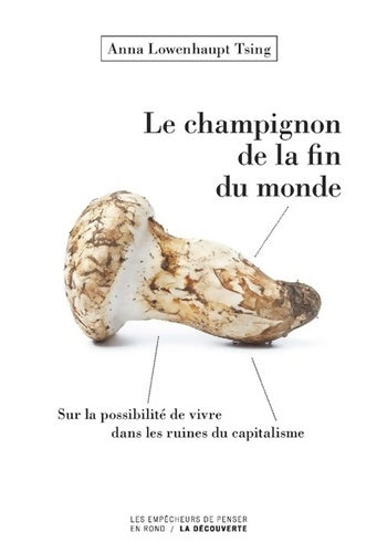 Le champignon de la fin du monde - Anna Lowenhaupt Tsing - Livre