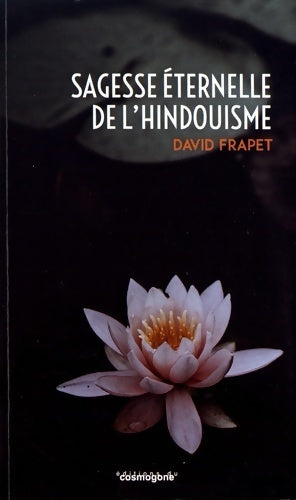 Livrenpoche : Sagesse éternelle de l'hindouisme - David Frapet - Livre