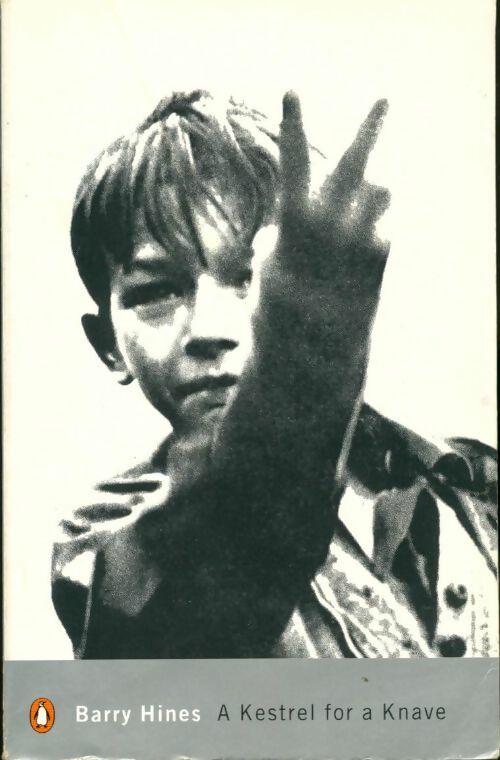Livrenpoche : A kestrel for a knave - Barry Hines - Livre