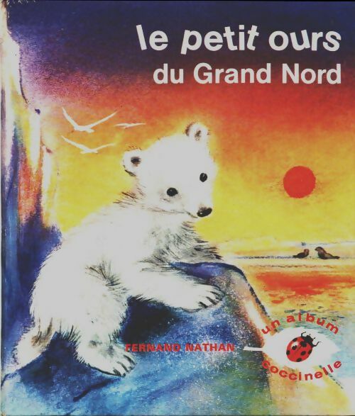 Livrenpoche : Le petit ours du grand nord - Romain Simon - Livre