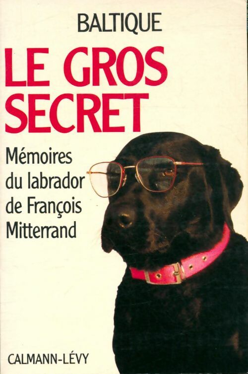 Livrenpoche : Baltique : Le gros secret - Patrick Rambaud - Livre