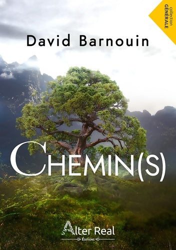 Livrenpoche : Chemin(s) - David Barnouin - Livre