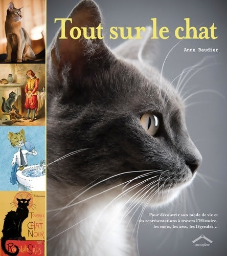 Livrenpoche : Tout sur le chat - Anne Baudier - Livre