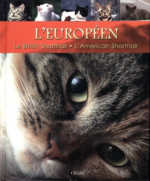 Livrenpoche : L'européen : Le british shorthair - L'american shorthair - Marie-José Courreau - Livre