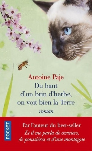 Du haut d'un brin d'herbe on voit bien la terre - Antoine Paje - Livre