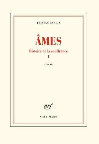 Livrenpoche : Histoire de la souffrance i : Âmes - Tristan Garcia - Livre