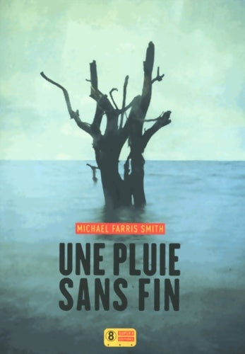Une pluie sans fin - Michael Farris Smith - Livre