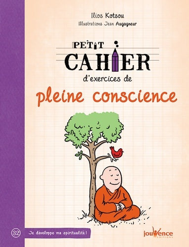 Petit cahier d'exercices de pleine conscience - Ilios Kotsou - Livre