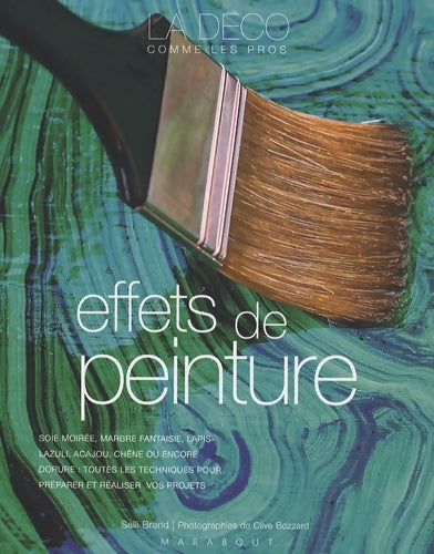 Livrenpoche : Effets de peinture - Salli Brand - Livre