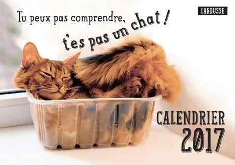 Livrenpoche : Tu peux pas comprendre, t'es pas un chat. Calendrier 2017 - Lemoine Aurélie - Livre