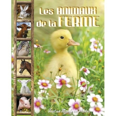 Livrenpoche : Les animaux de la ferme - Collectif - Livre