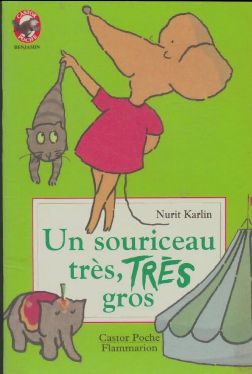 Livrenpoche : Un souriceau très, très gros - Nurit Karlin - Livre