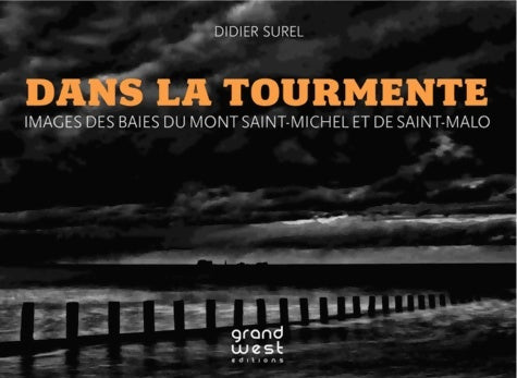 Livrenpoche : Dans la tourmente - Didier Surel - Livre