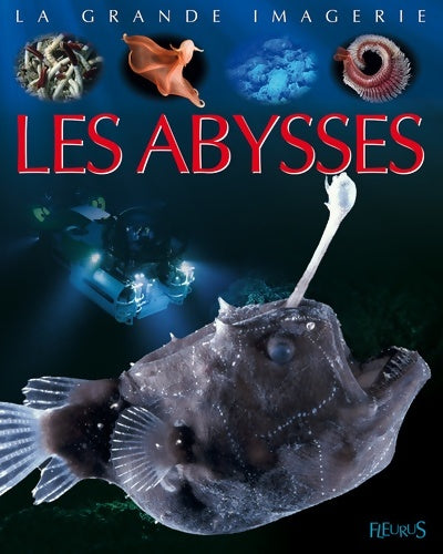 Livrenpoche : Les abysses - Laure Cambournac - Livre