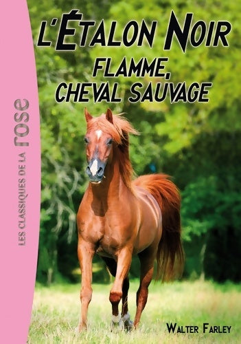 Livrenpoche : Flamme, cheval sauvage - Walter Farley - Livre