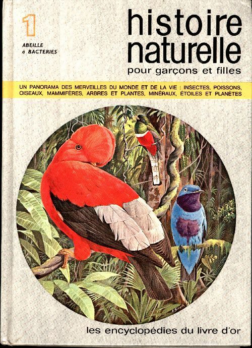 Livrenpoche : Abeille a bactéries - Collectif - Livre