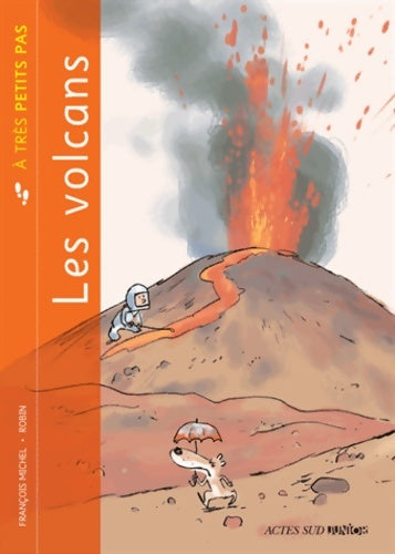 Livrenpoche : Les volcans - François Michel - Livre