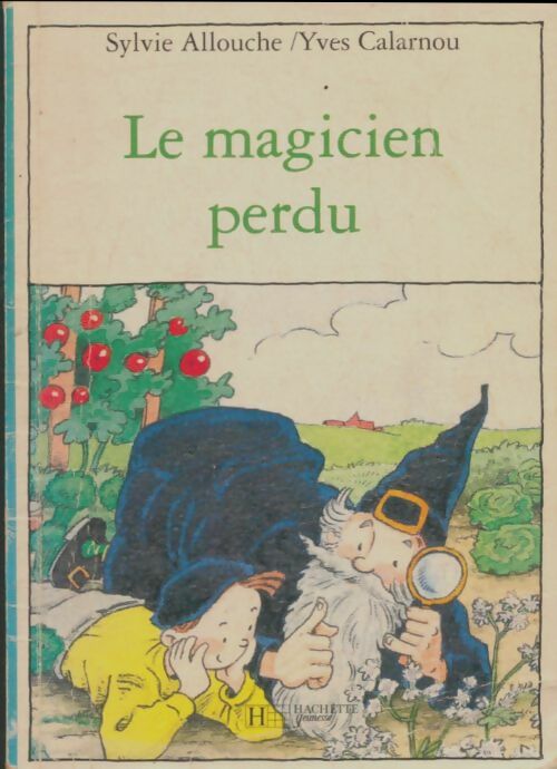 Livrenpoche : Le magicien perdu - Sylvie Allouche - Livre