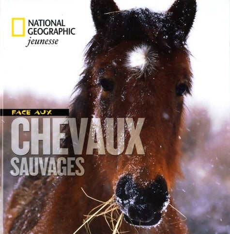 Face aux chevaux sauvages - Yva Momatiuk - Livre
