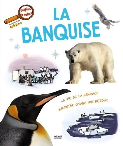 Livrenpoche : La banquise - Frédéric Denhez - Livre