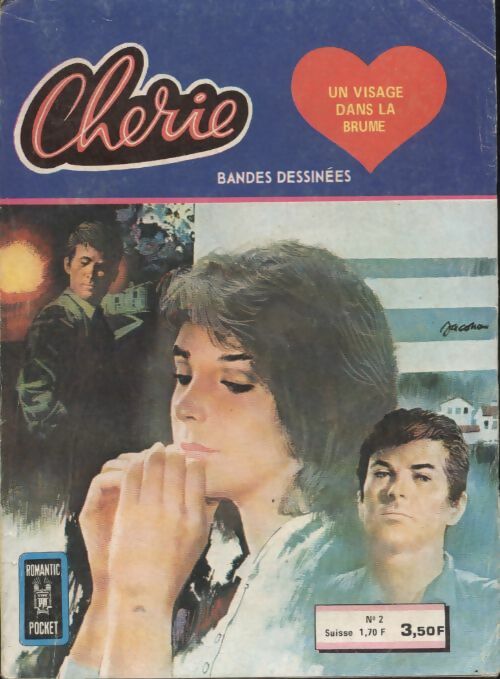Livrenpoche : Cherie n°2 : Un visage dans la brume - Collectif - Livre