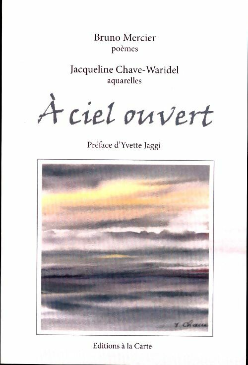 Livrenpoche : A ciel ouvert - Bruno Mercier - Livre