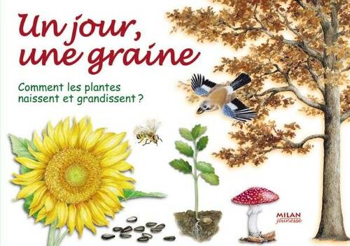 Livrenpoche : Un jour une graine comment plantes naissent - Catherine Fichaux, Pauline Neveu - Livre